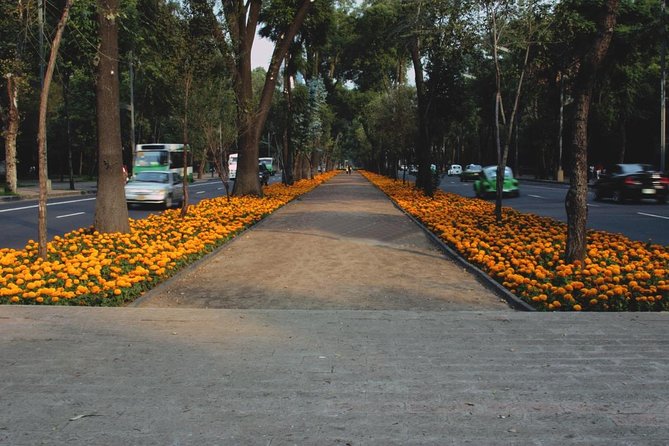 Private Mexico City Walking Tour With a Local: Roma & Condesa 100% Personalized - Pricing and Booking Details