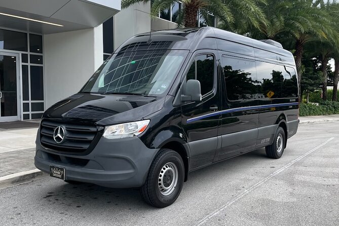 Private Miami Airport Transfer To/From Miami Port and South Beach - Accessibility Information