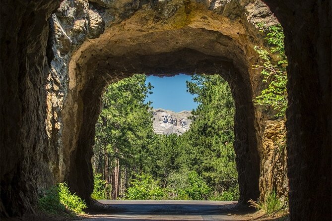 Private Mickelson Trail Bicycling Tour - Tour Highlights