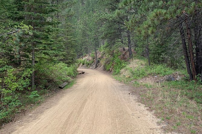 Private Mickelson Trail Bicycling Tour - Overall Content
