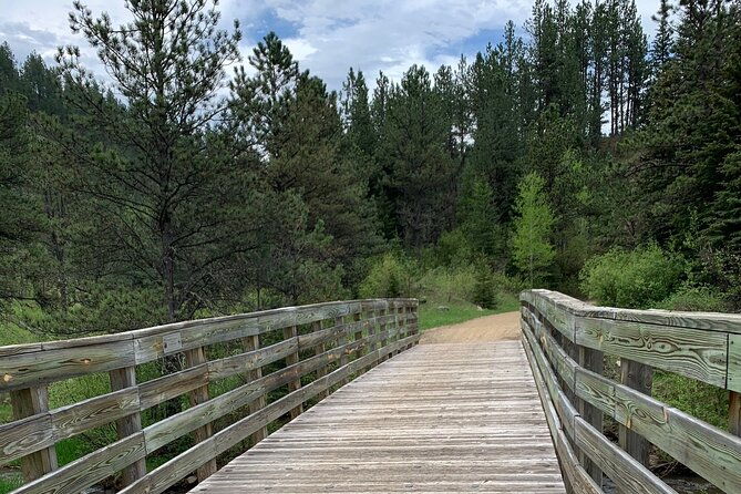 Private Mickelson Trail Bike Tour - Introduction
