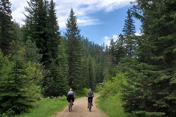 Private Mickelson Trail Bike Tour - Practical Considerations