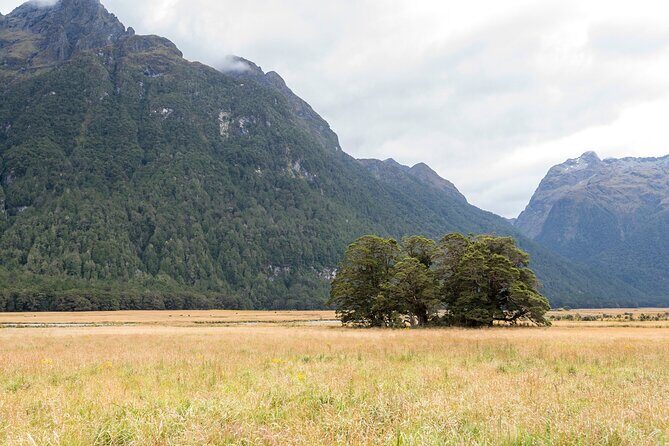 Private Milford Sound Scenic Tour Fjords Waterfalls and Views - Who Is This Tour Best For?