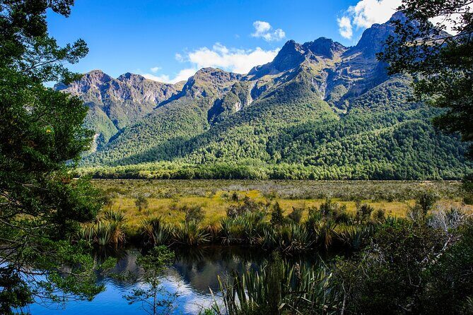 Private Milford Sound Scenic Tour Fjords Waterfalls and Views - Final Thoughts