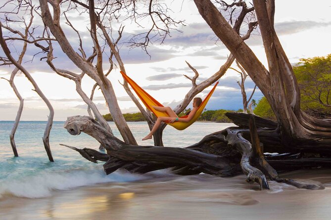 Private Mindful Meditation and Dharma Talks in Hilo, USA - Pricing Details
