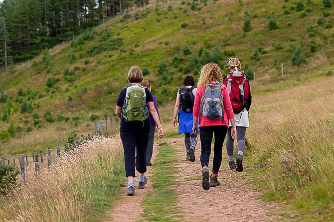 Private Mindfulness and Nature Walk in Edinburgh - Meeting and Pickup
