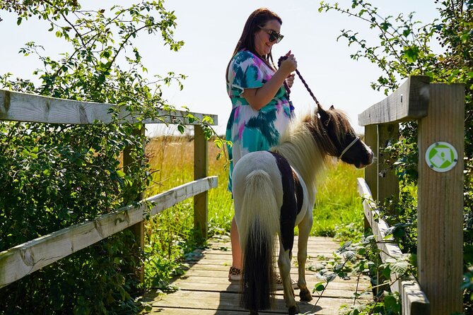 Private Miniature Horse Walking Near Lincoln - Whats Included