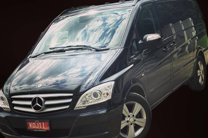 Private Minibus MEL Airport to Melbourne CBD/City - Family-Friendly Amenities