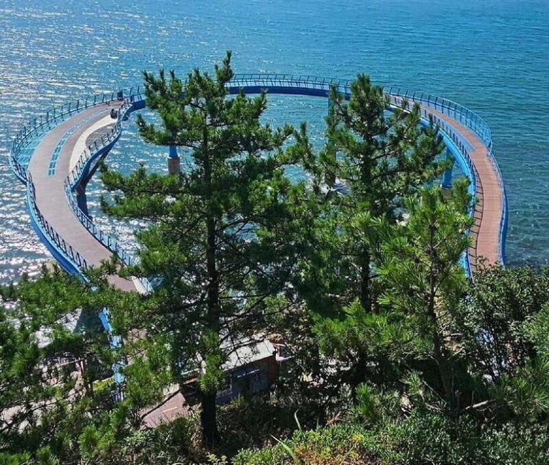 Private Minibus Tour in Busan for Cruise Guests 8-17 People - The Practicalities: What to Expect