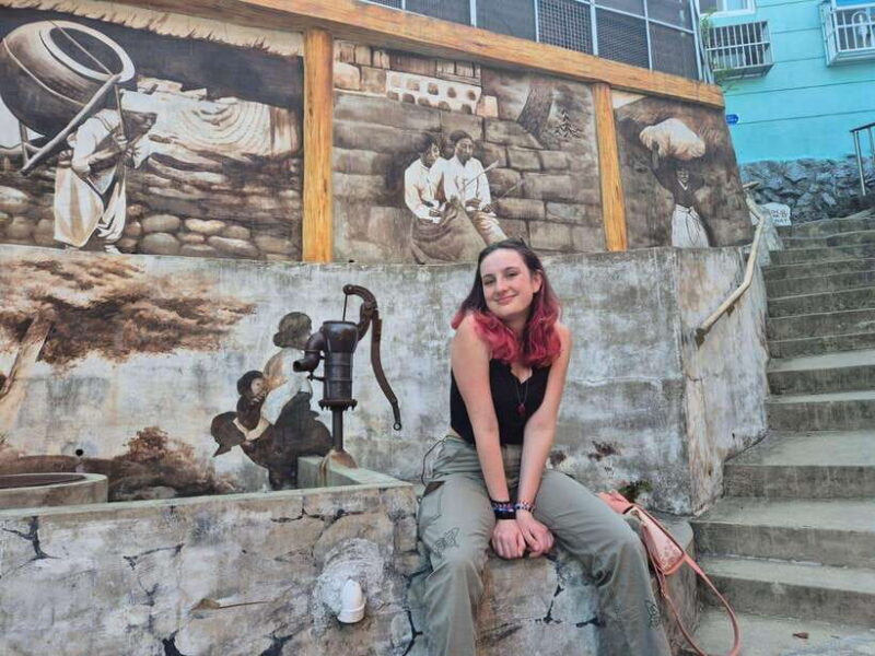 Private Minibus Tour in Busan for Cruise Guests 8-17 People - FAQ