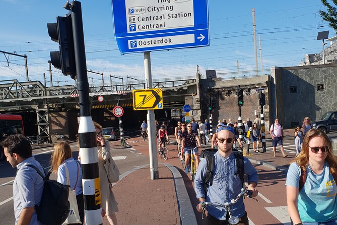 Private Minivan Sightseeing Tour in Amsterdam - Comfortable Transportation