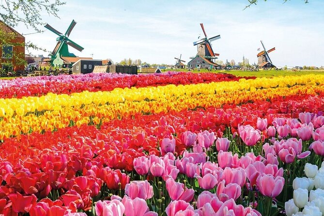 Private Minivan Tour to Keukenhof - Pricing and Terms