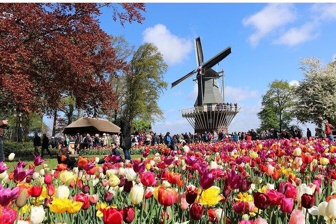 Private Minivan Tour to Keukenhof - Directions