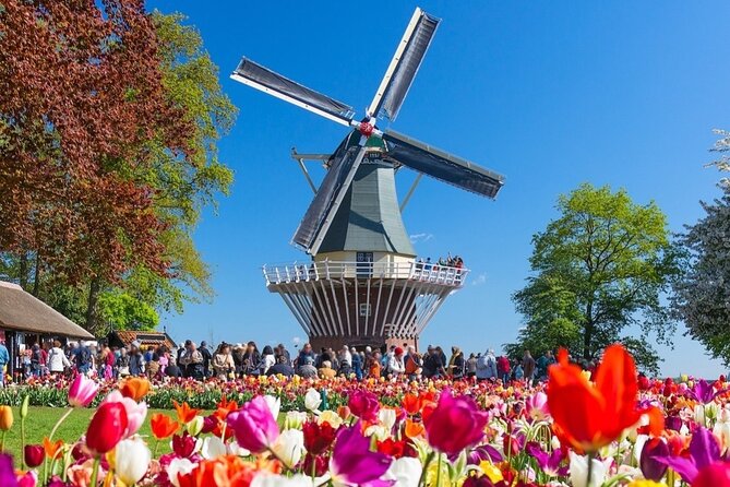 Private Minivan Tour to Keukenhof - Common Questions