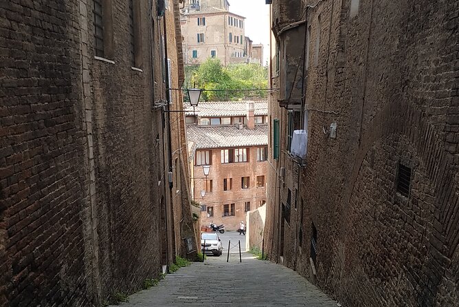 Private Minivan Tour to Siena and San Gimignano From Florence - Local Culture