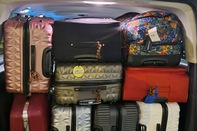 Private Minivan Transfer to Rotterdam - Additional Information About Infant Seats and Accessibility