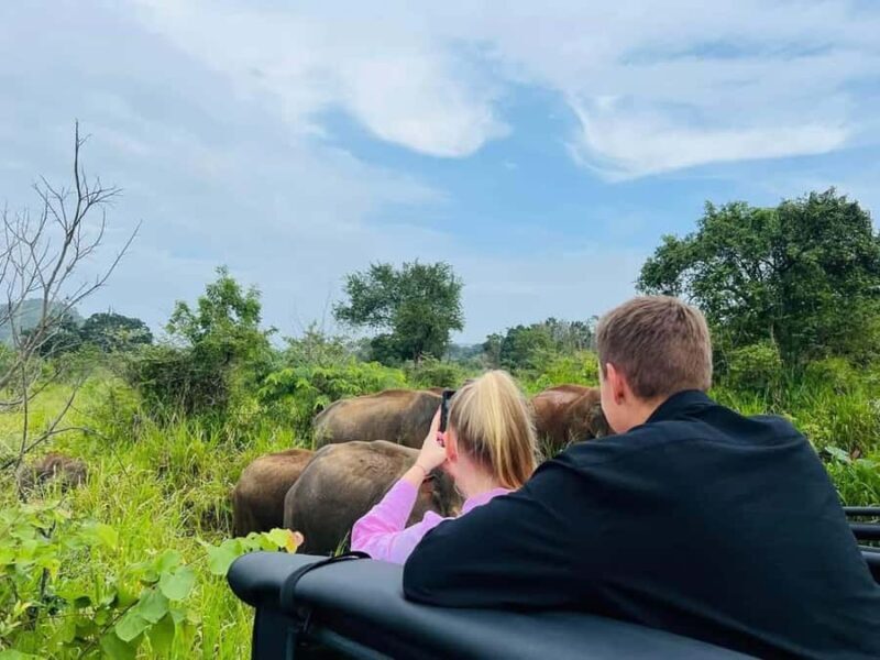 Private Minneriya Safari & Nature Experience from Sigiriya - Detailed Review of the Minneriya Safari & Nature Experience