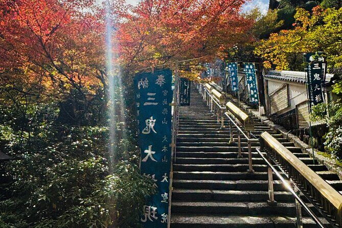 Private Miyajima Island Tour with Local Guide - Who Should Consider This Tour?