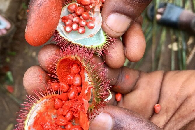 Private Mnemba Island Tour; Spice Tour; Jozani Forest Tour - Location Details