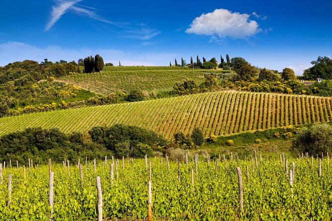 Private Montalcino and Pienza Tour From Siena - Price and Reviews