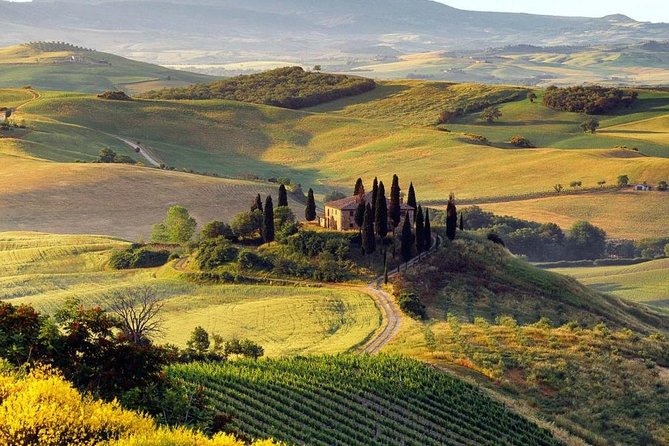 Private Montalcino and Pienza Tour From Siena - The Sum Up