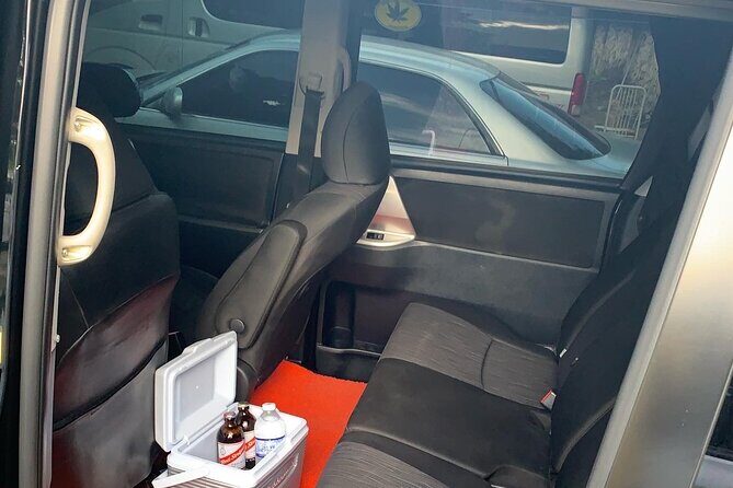 Private Montego Bay Airport Transfer Riu Palace, Riu Reggae Hotel - What You Can Expect From This Private Transfer  