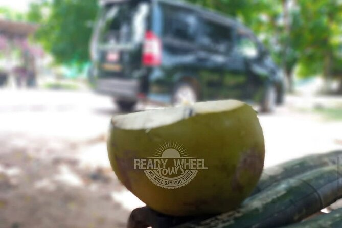 Private Montego Bay Airport Transfer With a Local Guide - Pricing and Booking