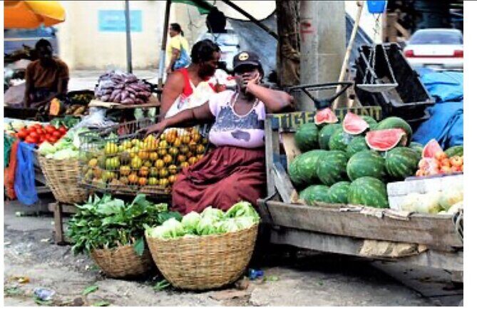 Private Montego Bay City Tour with Sightseeing and Shopping - Authentic Experiences and Highlights