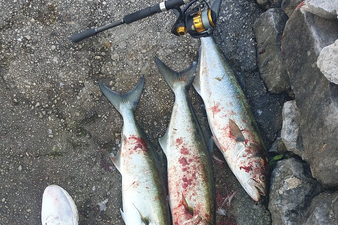 Private Montenegro Fishing Tour - Directions