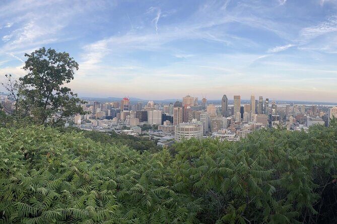 Private Montreal Car Tour with History and Hidden Gems - An In-Depth Look at the Tour Experience