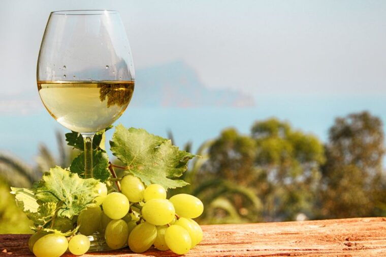 Private Montserrat Tour, Organic Winery & Gourmet Lunch - Wine Tasting Experience