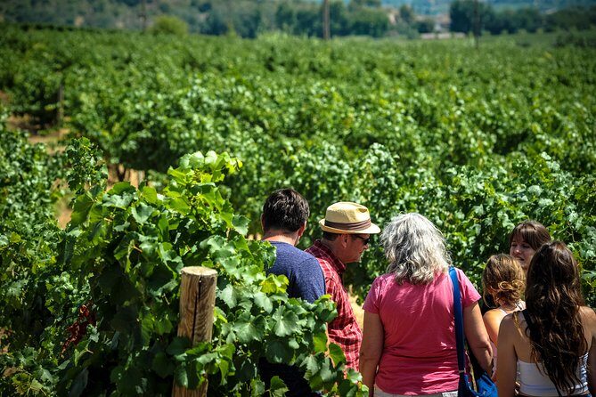 Private Montserrat with Wine Tasting Full Day Trip from Barcelona - The Cava Trail Experience: Discovering Spain’s Sparkling Gem