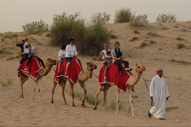 Private Morning Desert Safari of Arabian Desert With Camel Ride - Common Questions