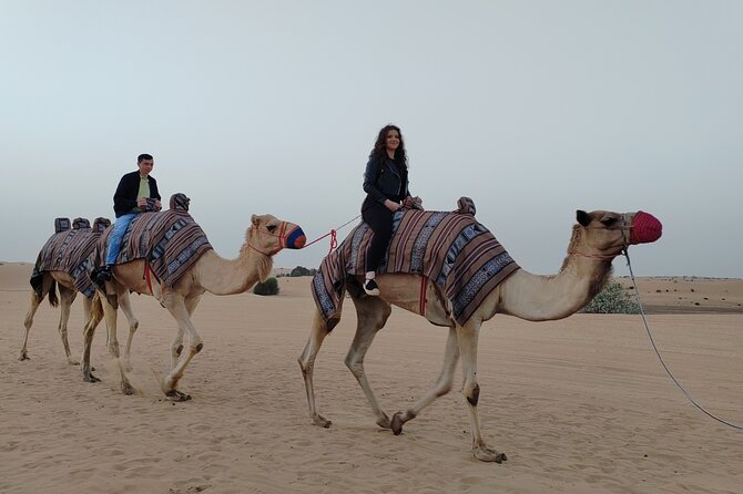 Private Morning Desert Safari Tour in Lehbab,Dubai - Cancellation Due to Poor Weather