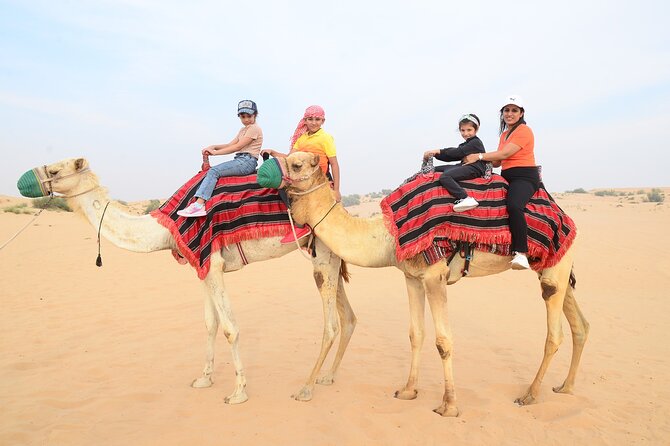 Private Morning Desert Tour: Dune Bashing, Camel Ride & Sandboard - Accessibility Information