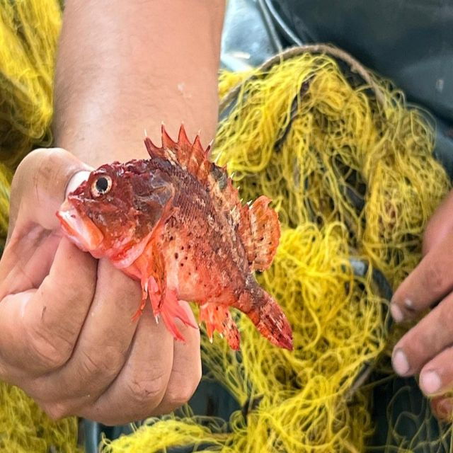 Private Morning Fishing Tour W/ Lunch and Drinks - Booking Information and Flexibility
