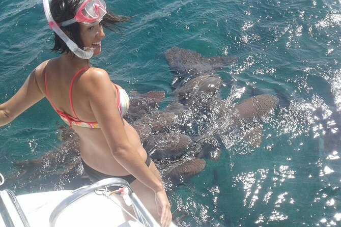 Private Morning or Sunset Half Day Charter - Pricing and Inclusions