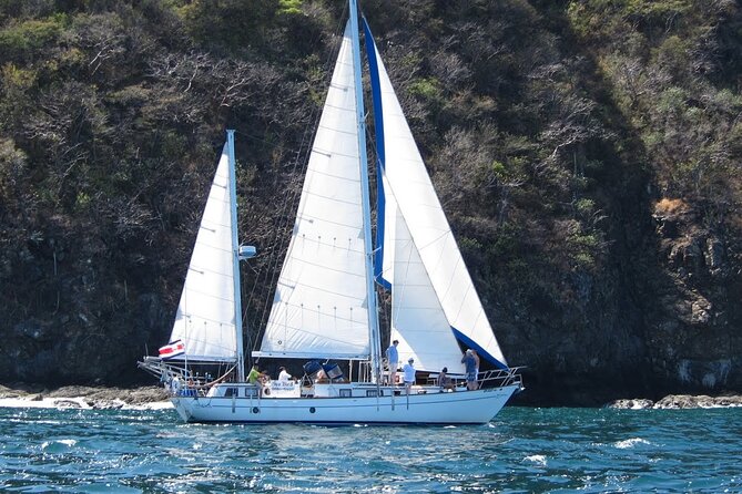 Private Morning Sail & Snorkel Tour - Tour Highlights
