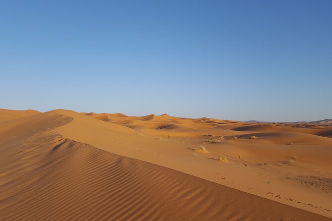 Private Morocco Tour Full 10 Days From Tangier - Itinerary Highlights