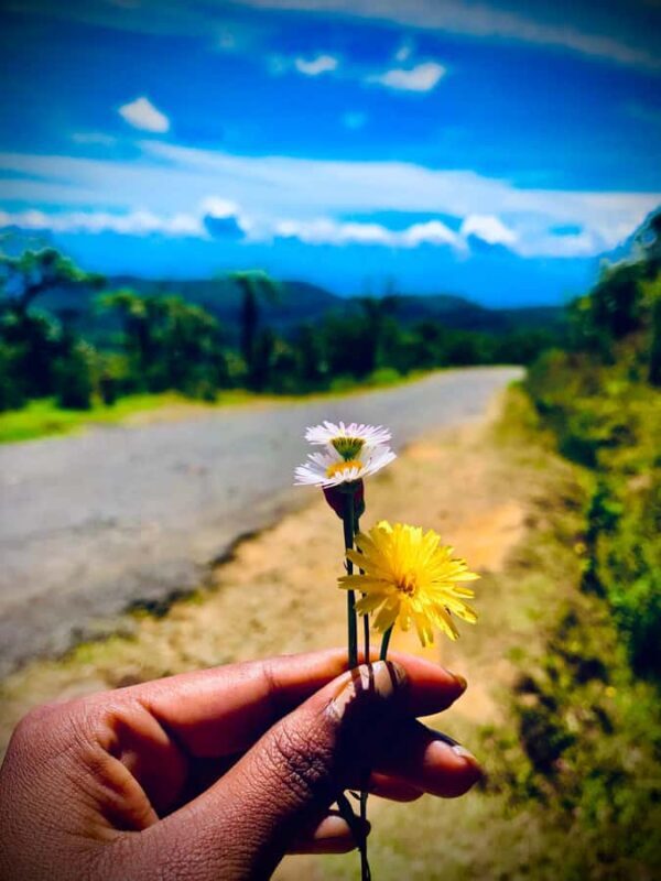 Private Motorbike Passenger Ride to World's End |From Ella - The Ride Begins: From Ella to Horton Plains
