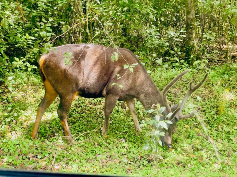 Private Motorbike Passenger Ride to World's End |From Ella - Final Thoughts