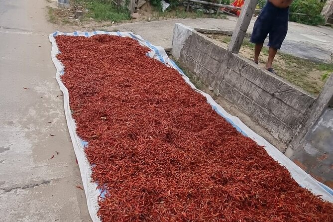 Private Motorbike Tour Discover the Local Life in Vietnam - Personalized Itinerary