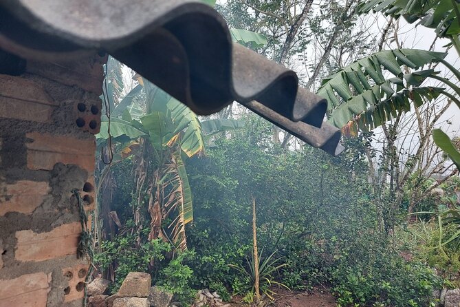 Private Motorbike Tour Discover the Local Life in Vietnam - Expert Local Guides