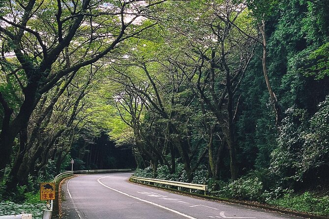 Private Motorcycle Day Tour to Fuji and Hakone: Onsen and Nature - Pricing Information