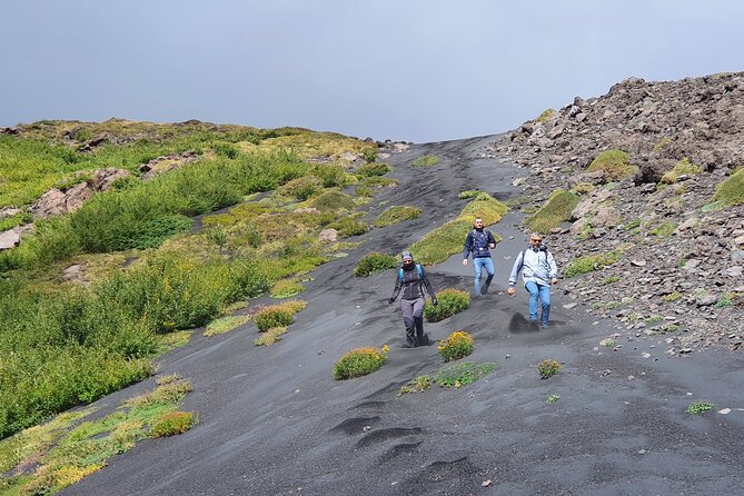 Private Mount Etna Full-Day Hike From a Refuge - Logistics