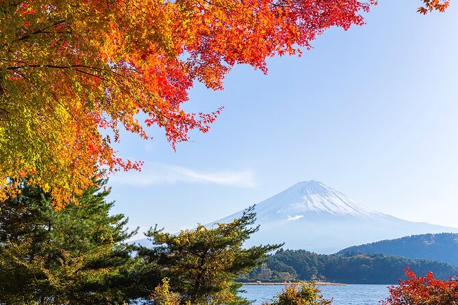 Private Mount Fuji and Hakone City Tour From Tokyo - Tour Highlights
