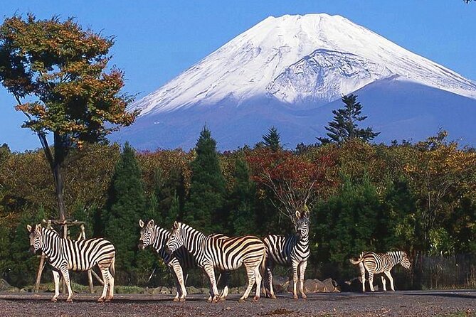 Private Mount Fuji and Hakone City Tour From Tokyo - Itinerary Overview