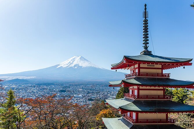 Private Mount Fuji and Hakone City Tour From Tokyo - Tips for a Memorable Experience