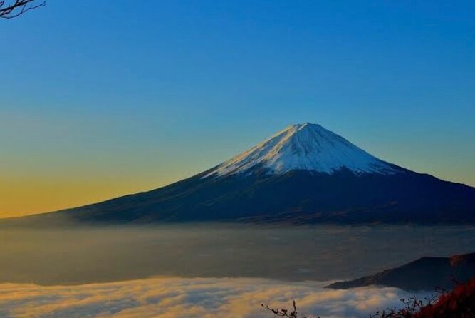Private Mount Fuji and Hakone City Tour From Tokyo - The Sum Up