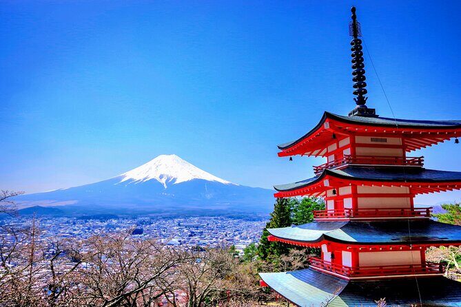 Private Mount Fuji And Hakone Tour with English Guide - Good To Know